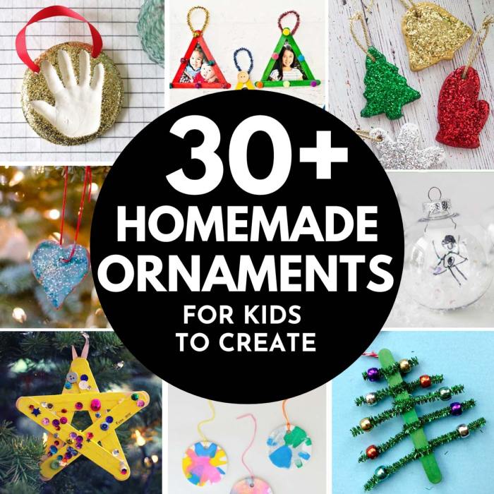 Christmas ornament ideas diy